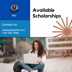 STEM Research Fellowship